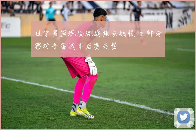 辽宁男篮现场观战焦点战役 主帅考察对手备战季后赛走势