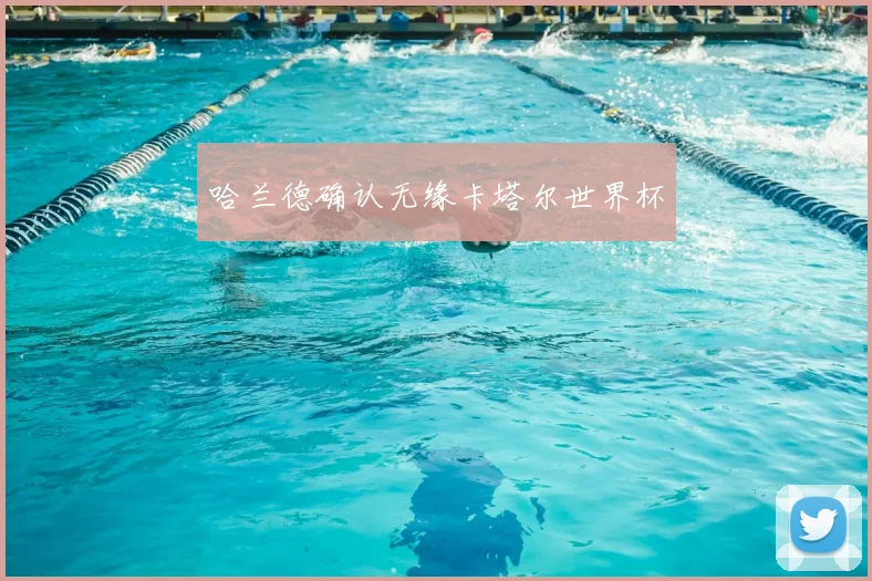 哈兰德确认无缘卡塔尔世界杯