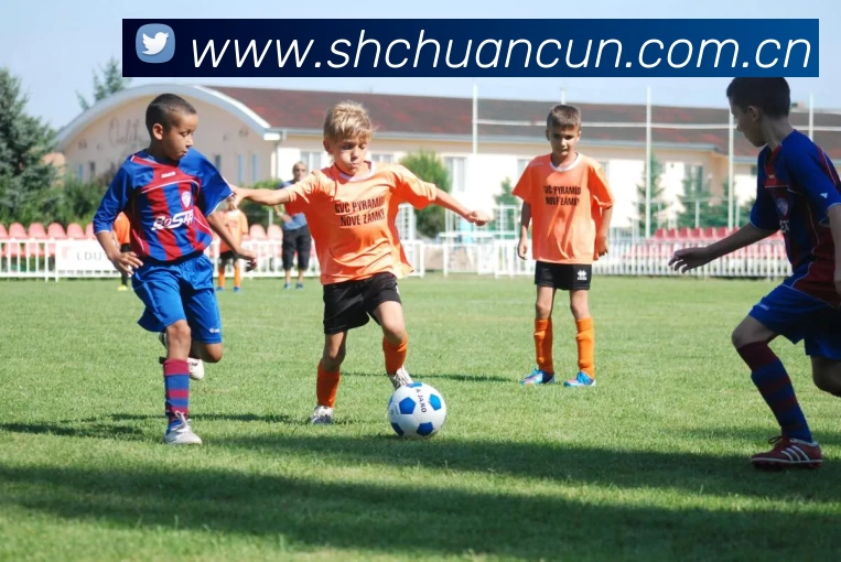 爱游戏(ayx)中国官方网站平台 - 登录入口APP 高清赛事图